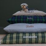 ticking-stripe-dog-bed-from-the-foggy-dog-566518