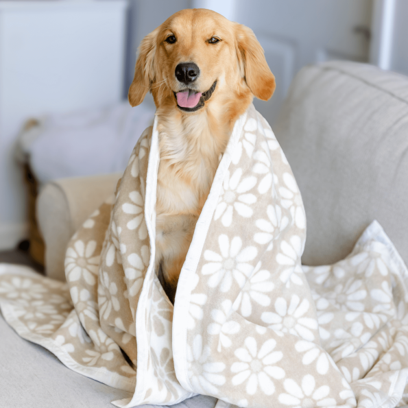 BlanketPDPCrop1