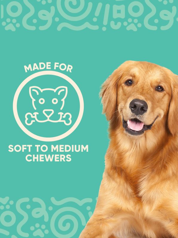 Chewer_1800x1800_4be8903b-17e9-4fb3-b997-aaadd64b5278