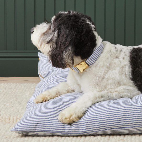 Crop_LakeBlueStripe_Collar_24-02-06_20730_cefc0c71-1299-4b8c-9ac8-fcd949c5c6bd
