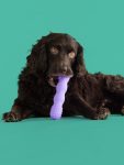 3-4-View-ToothBuddy