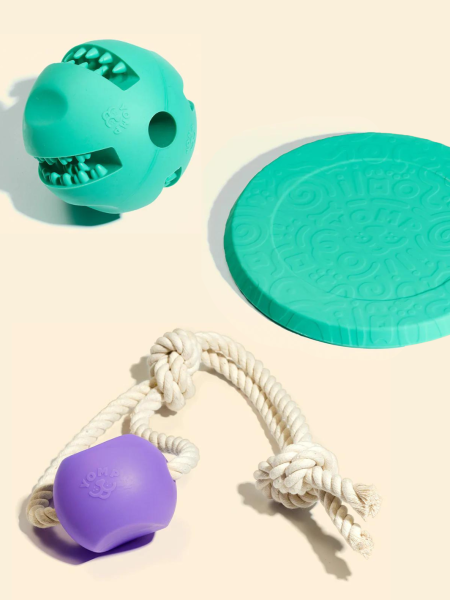 Fetch and Fly Pack