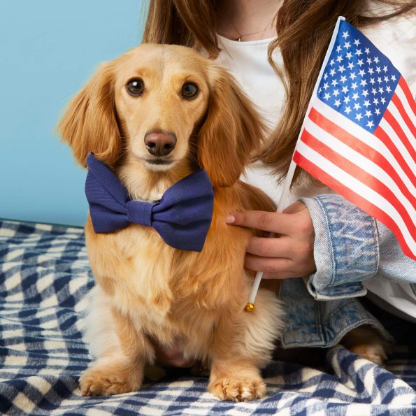 NavyGingham_Blanket_b4564240-e106-4c0d-8405-43f57019ebaf