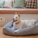Heather-Taylor-Home_Soho-Black_Bolster-Bed_Front_Closeup