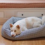 Heather-Taylor-Home_Soho-Black_Bolster-Bed_Front_Closeup