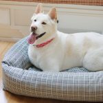 Heather-Taylor-Home_Soho-Black_Bolster-Bed_Front_Closeup