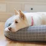 Heather-Taylor-Home_Soho-Black_Bolster-Bed_Front_Closeup