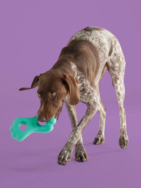 Tugpupdog_967351d8-0642-4a53-9e57-a51b03405e7e
