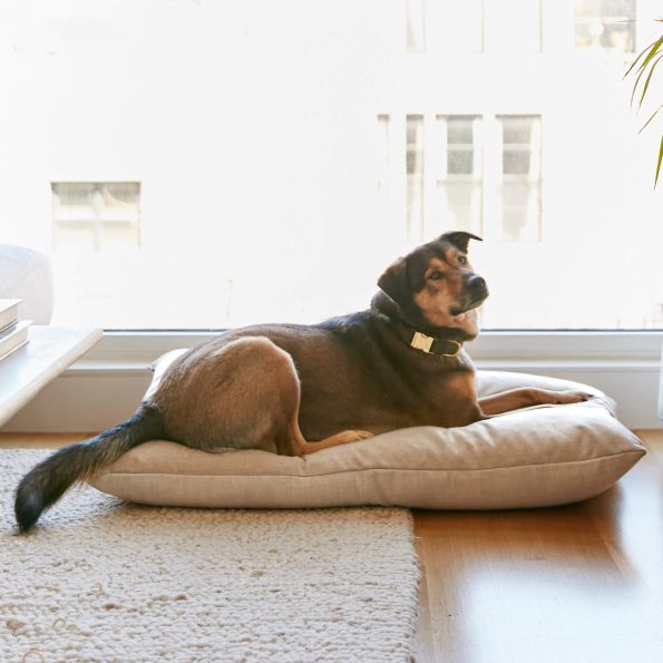 crop_230402_Foggy_Dog_Beds_057_F_v1_1