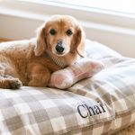 warm-stone-gingham-check-dog-bed-from-the-foggy-dog-579207