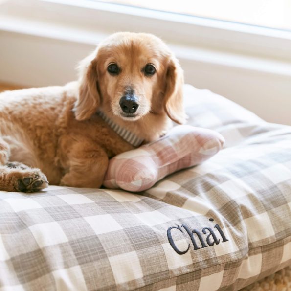crop_230402_Foggy_Dog_Beds_257