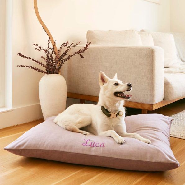 crop_230402_Foggy_Dog_Beds_285