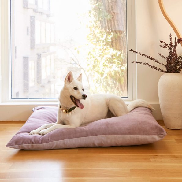 crop_230402_Foggy_Dog_Beds_376