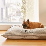 ticking-stripe-dog-bed-from-the-foggy-dog-566518