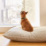 ticking-stripe-dog-bed-from-the-foggy-dog-566518
