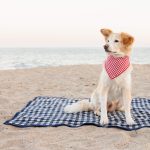 GINGHAM-NAVY-MIDI_Fold_0164