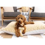 ochre-mud-cloth-dog-bed-from-the-foggy-dog-926423