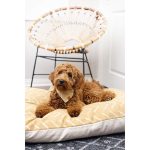 ochre-mud-cloth-dog-bed-from-the-foggy-dog-926423