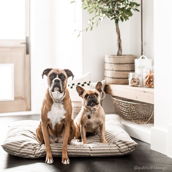 ticking-stripe-dog-bed-from-the-foggy-dog-376348