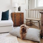 ticking-stripe-dog-bed-from-the-foggy-dog-566518